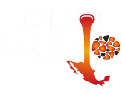 Prosodio